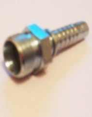 B8 MALE1 Thumbnail0